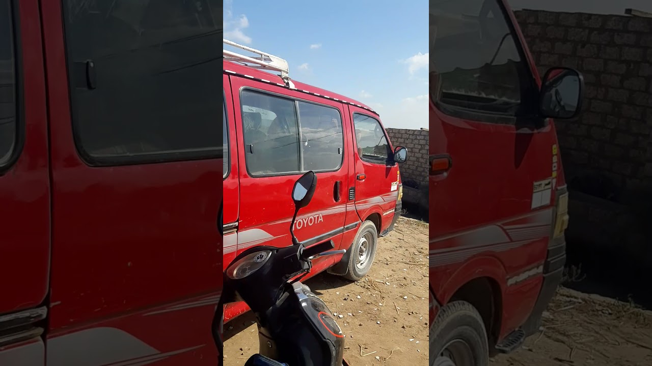 صيد السمك البورى و البلطى من مزرعة تابعة لبحيرة ادكو .مزرعة توتو بالمعدية