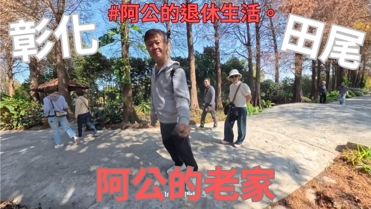 五個退休族的幸福一日遊｜落雨松×糖廠×阿公老家鄉下果園。