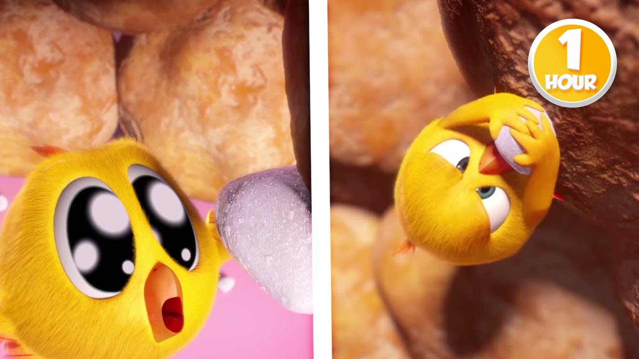 CHICKY | Chicky's Treasure | 1 Hour Compilation | KIDS & FAMILY CARTOON