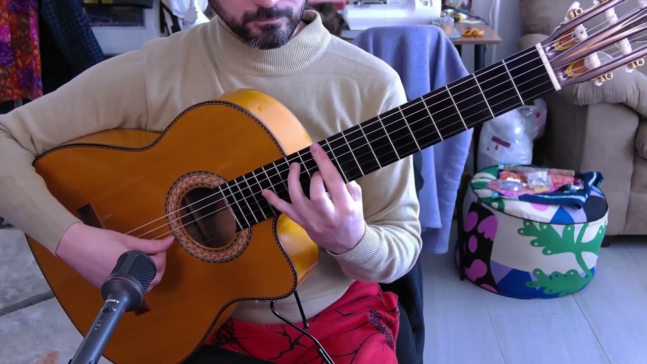 Sony ECM-MS5 Stereo Microphone --- FLAMENCO Guitar Sound Test