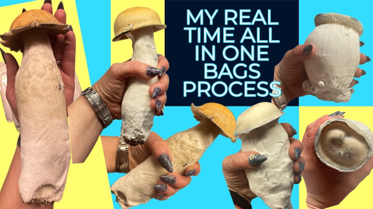 FOLLOW ME AS I MAKE ALL IN ONE BAGS IN REAL TIME (mostly)