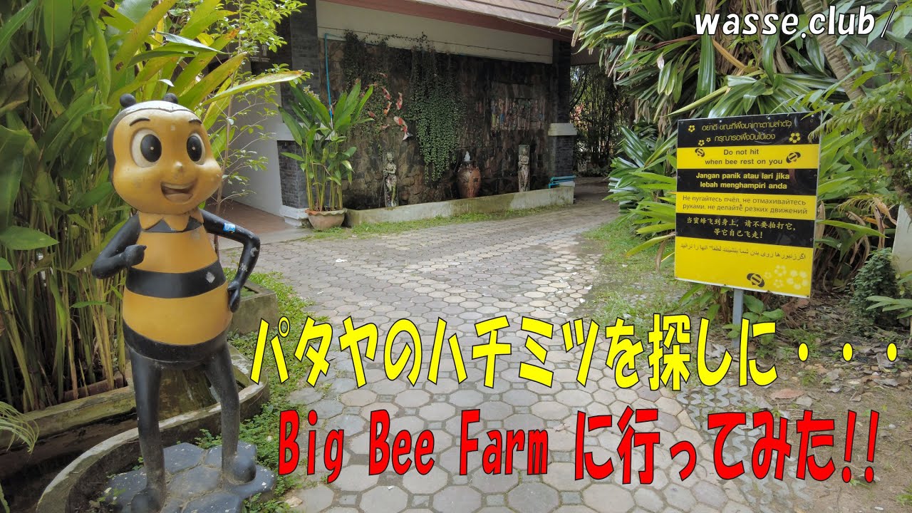 パタヤのBigBeeFarm(ハチミツ農場)