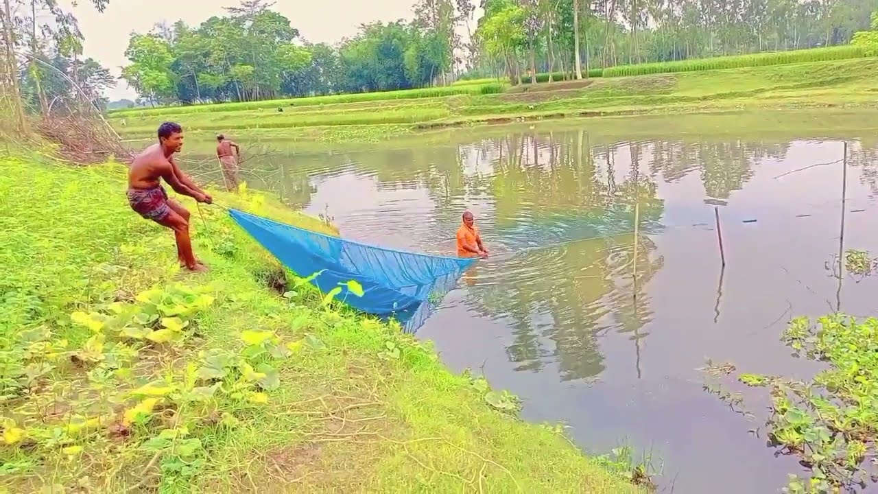 how to fish, how to fishing life,how to fishing bd, how to fishing in the river,how to fishing net
