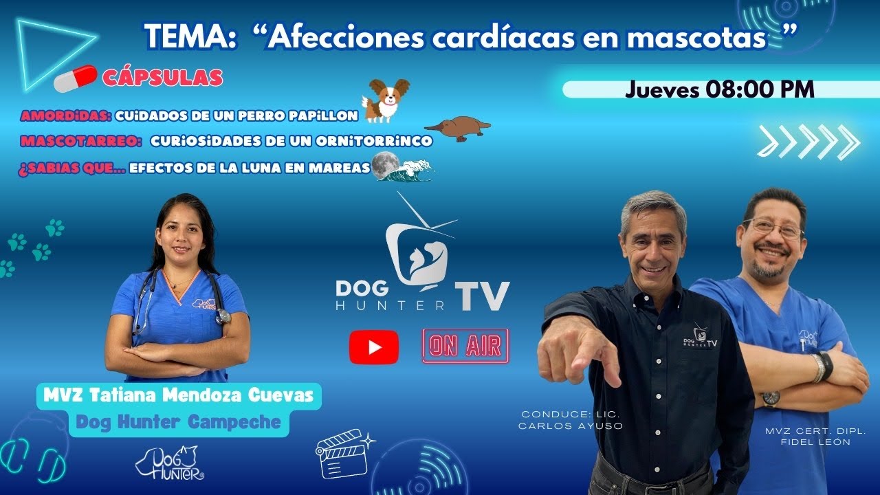 AFECTACIONES CARDIACAS EN MASCOTAS