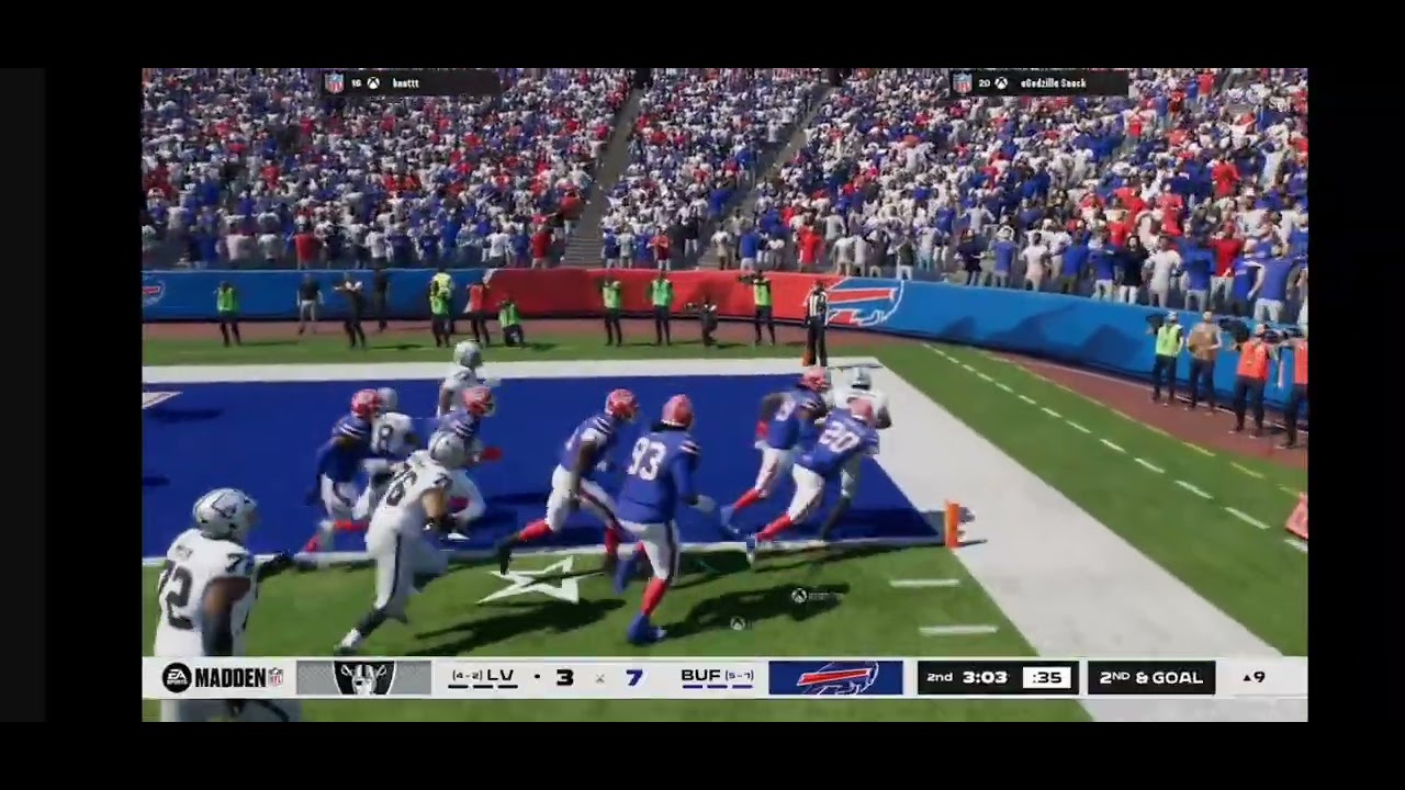 HFL Week 8 Highlights 