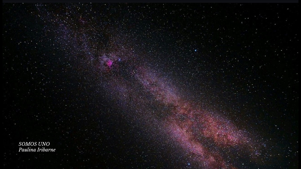 SOMOS UNO - Paulina Iribarne