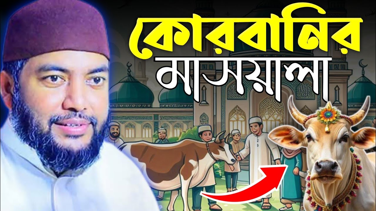 কুরবানী সংক্রান্ত কিছু জরুরী বিষয় নিয়ে আলোচনা।কুরবানির মাসয়ালা | মুহাম্মদ সাইফুল আজম আল আজহারী।