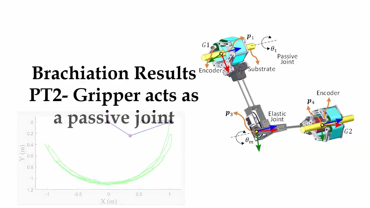 GraspMaM - A new gripper that acts as an active and passive joint for grasping and locomotion