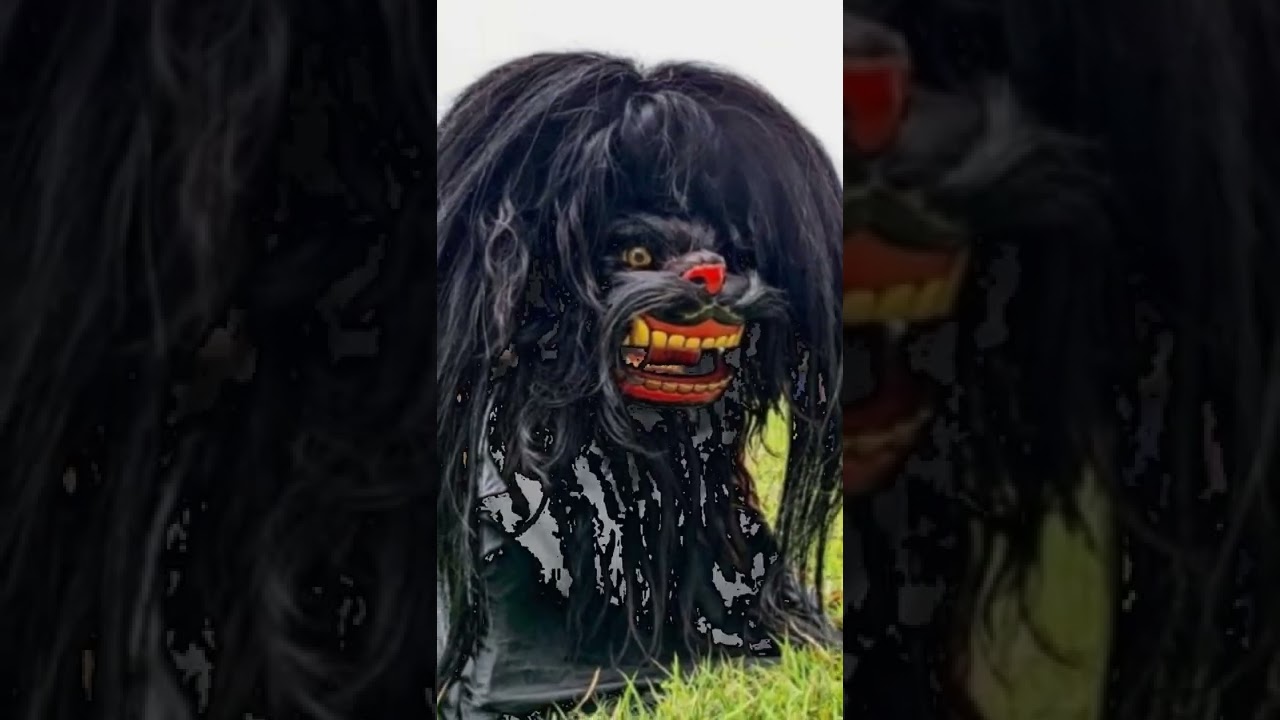 Barongan gaprak punya ya mas Irfan , Satrio mudho Joyo