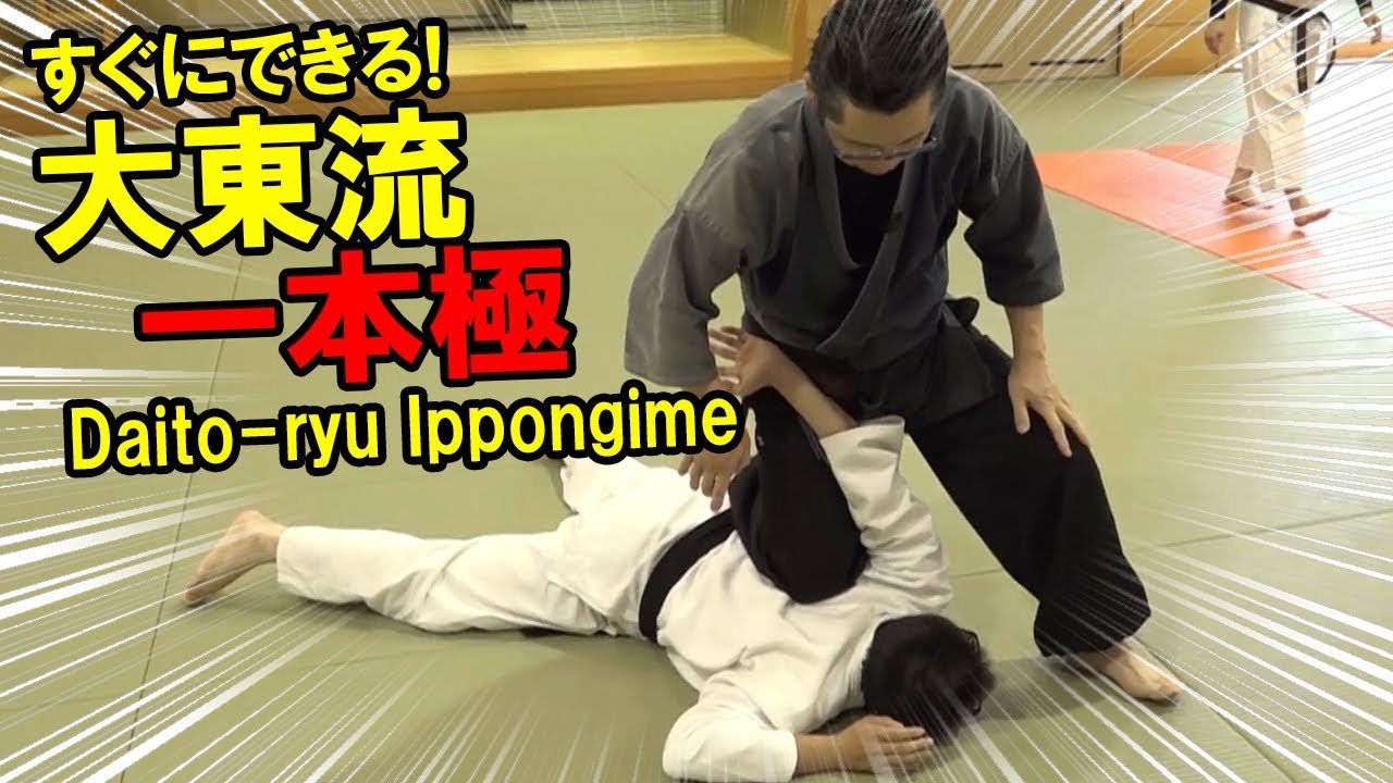 【English-subbed】Daito-ryu Lock!これが一本極だ！（大東流合気柔術練心館）