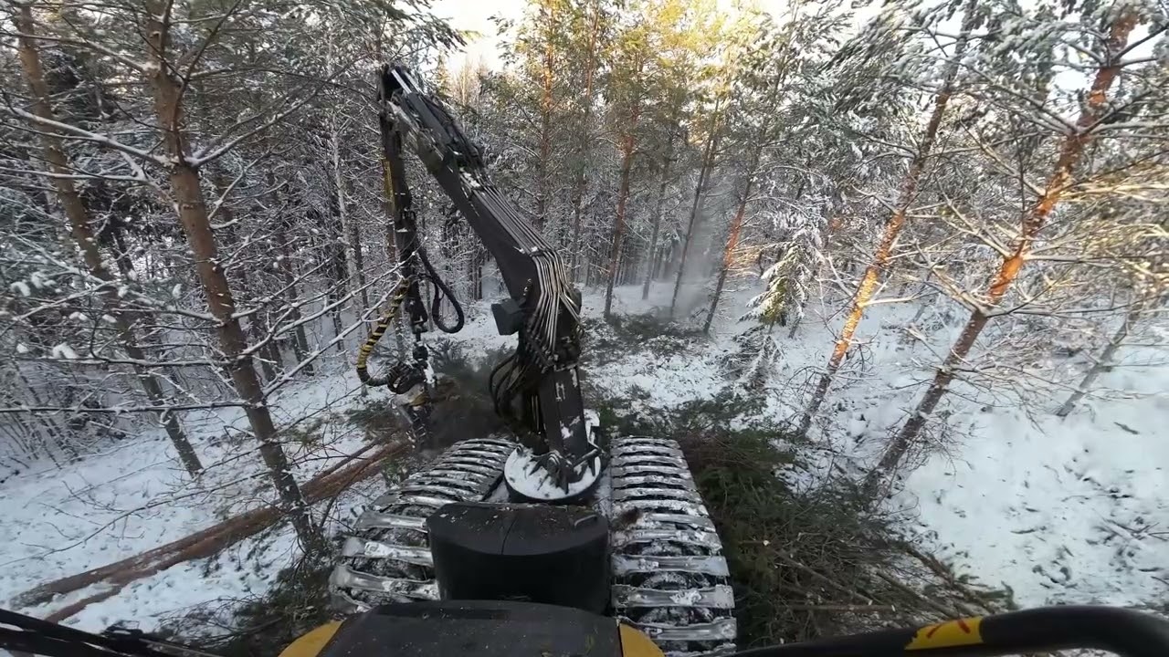 Ensiharvennuksen rippeitä kuvion rajalla ja rinteen reunalla. Ponsse Beaver