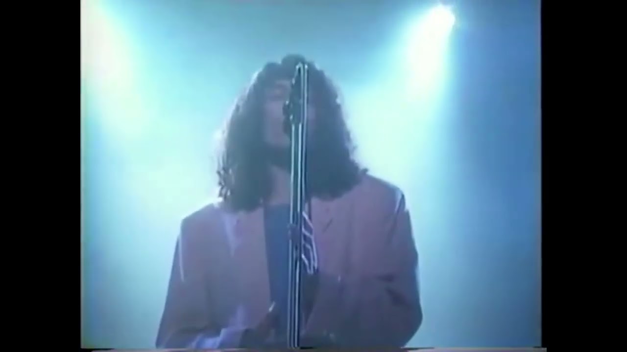 小野正利 - ピュアになれ  LIVE (1992)