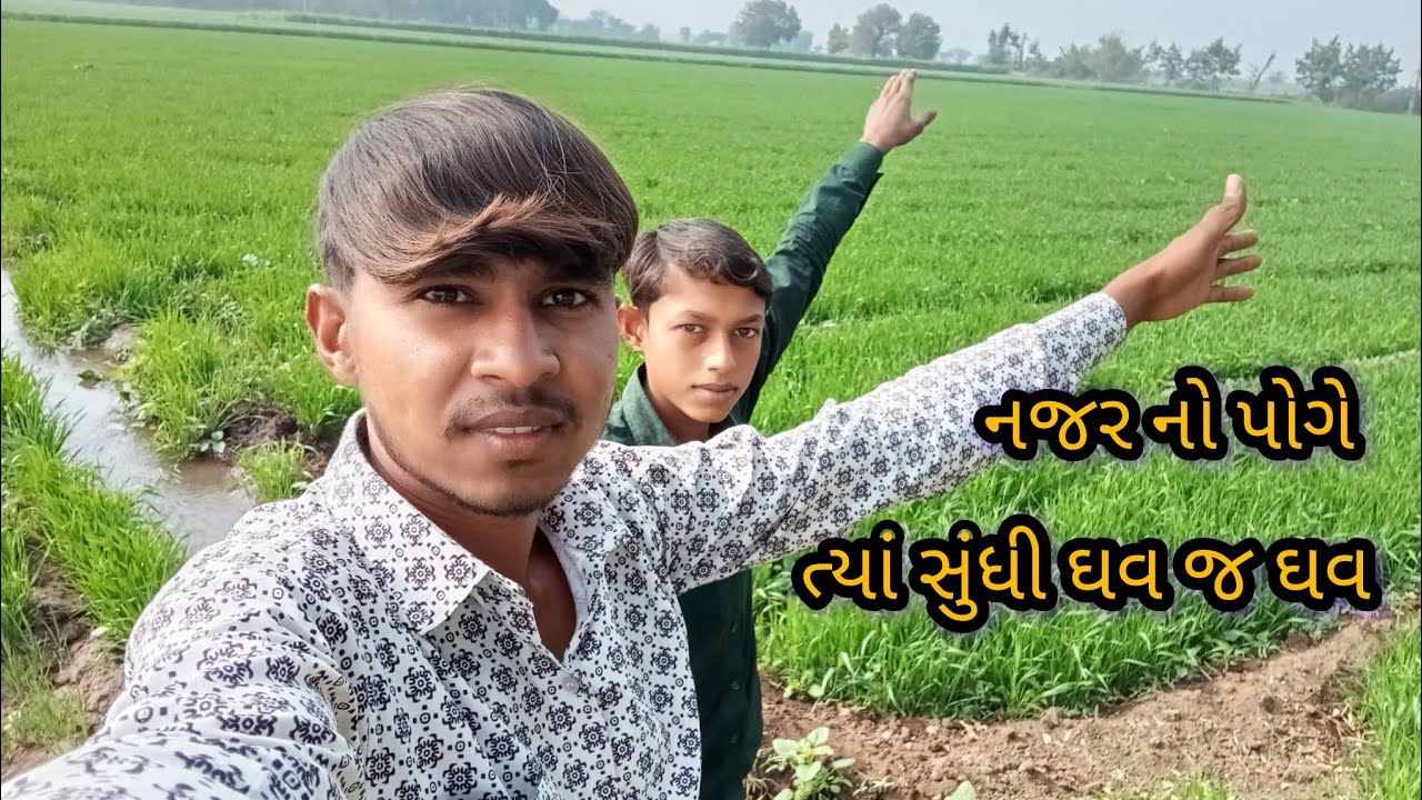 હું અને આંબા લાલ બેય ઘવ મા રખડતા રખડતા બાકા જીકી #video #vlog
