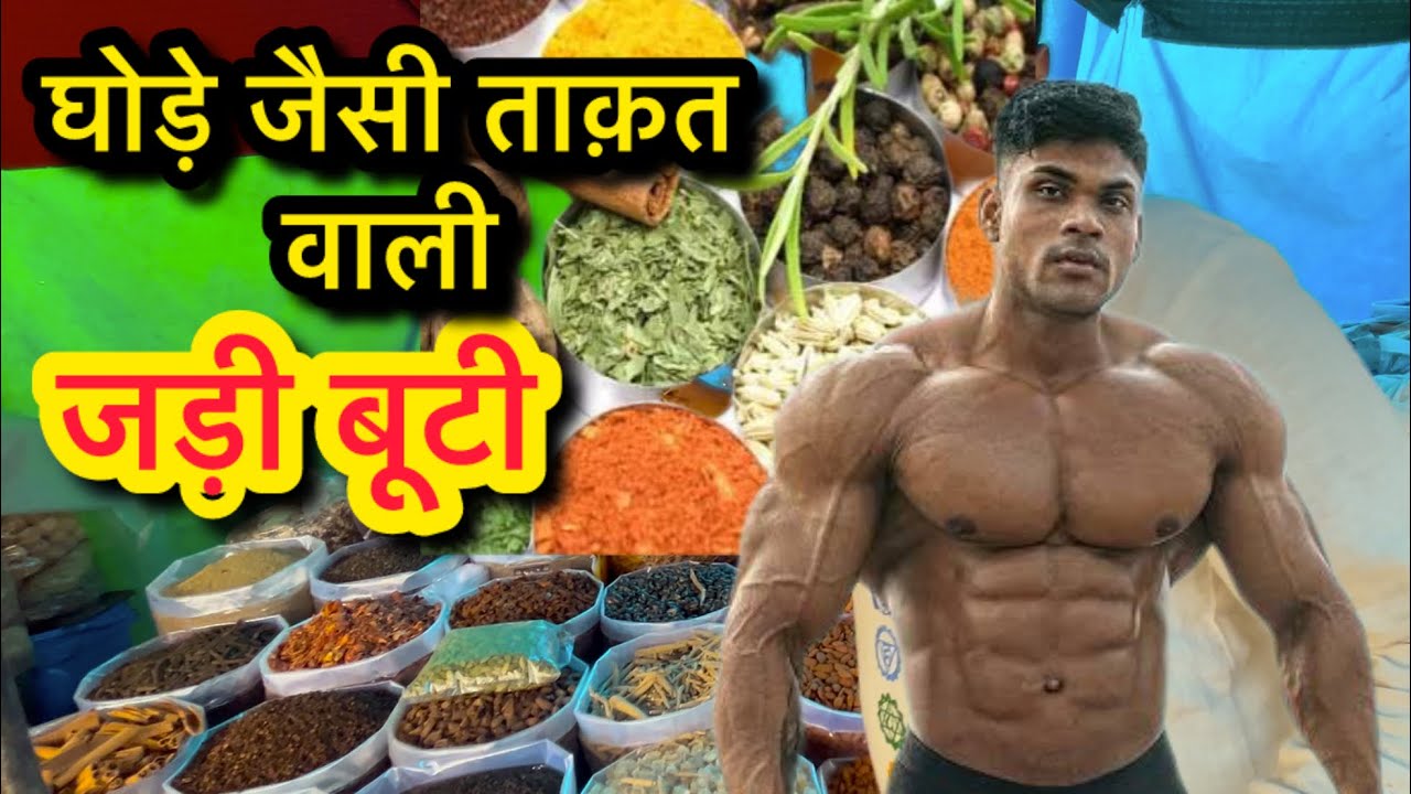 पहलवान जैसी ताक़त देने वाली देशी जड़ीबूटी/ देसी जड़ी बूटी की वीडियो / sumit07