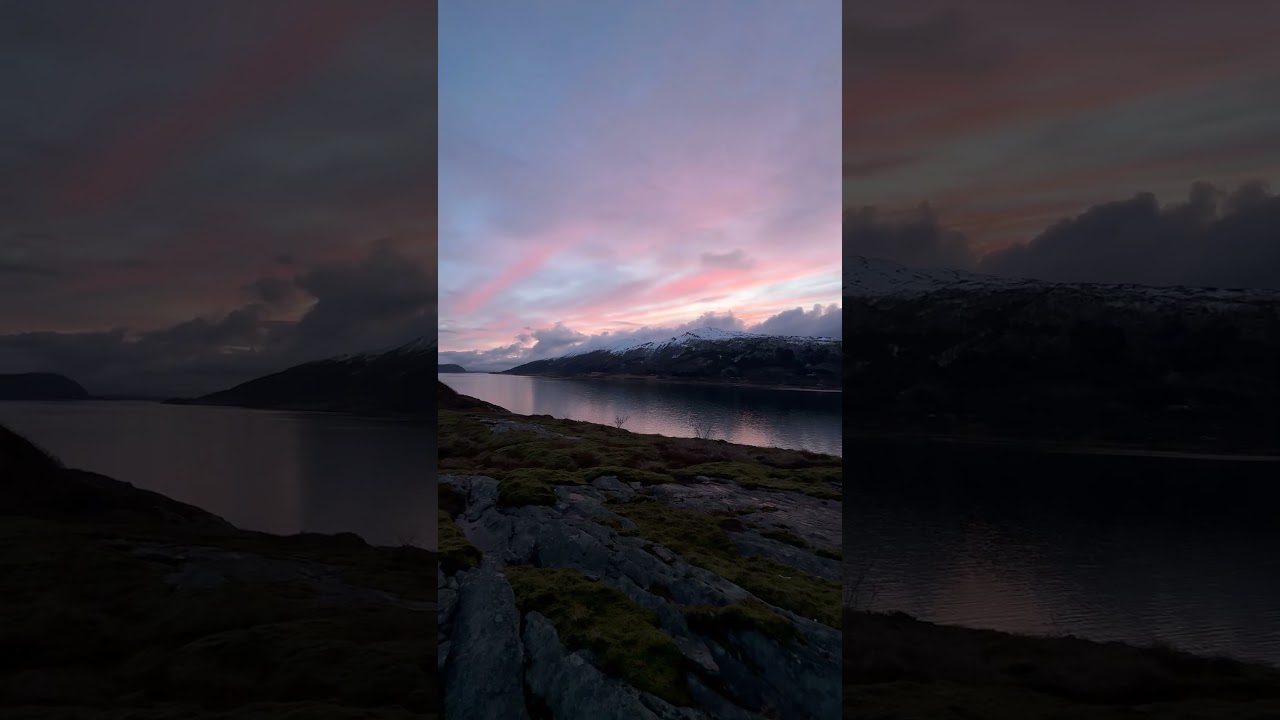 Nordic evening