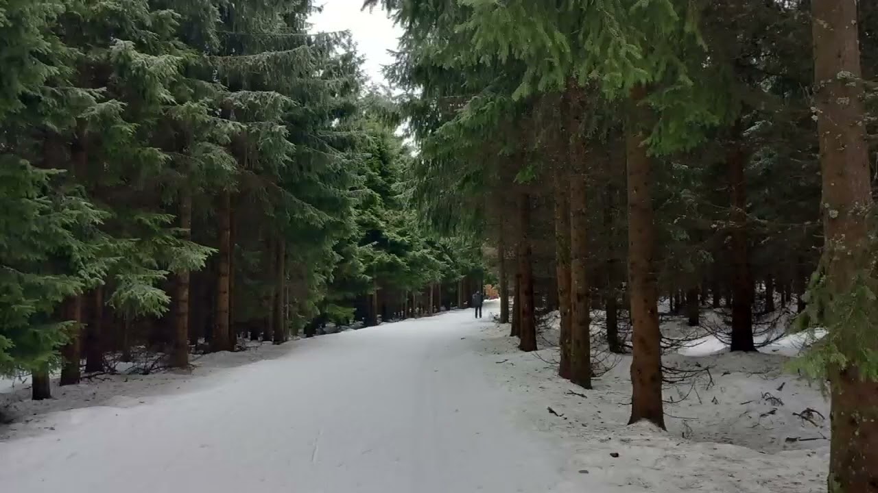 Promluva - 6. neděle v mezidobí 
