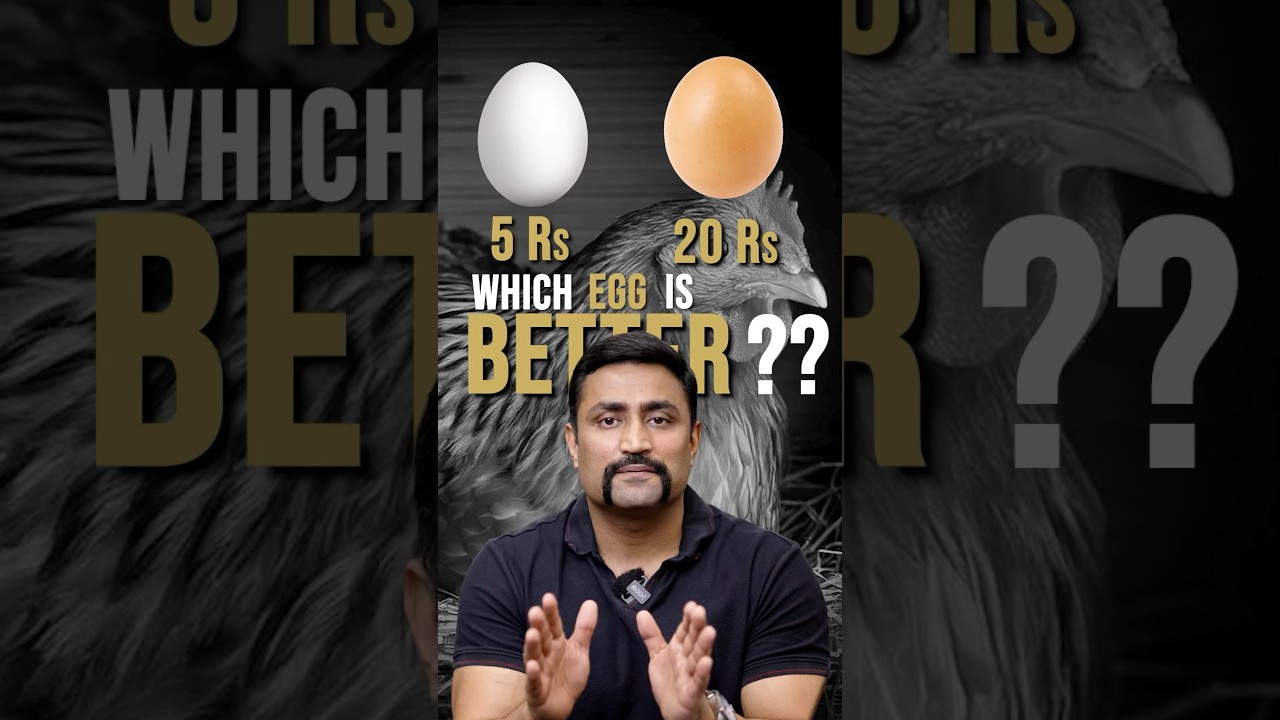 ₹5 Egg vs ₹20 Egg.. Which is Better?? #sho