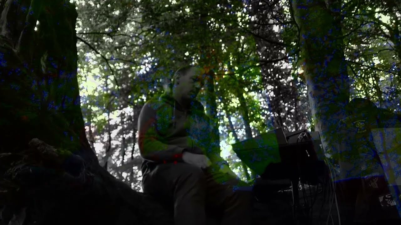 The River (forest drone mix) - longform ambient guitar and synthesizer drones in the woods