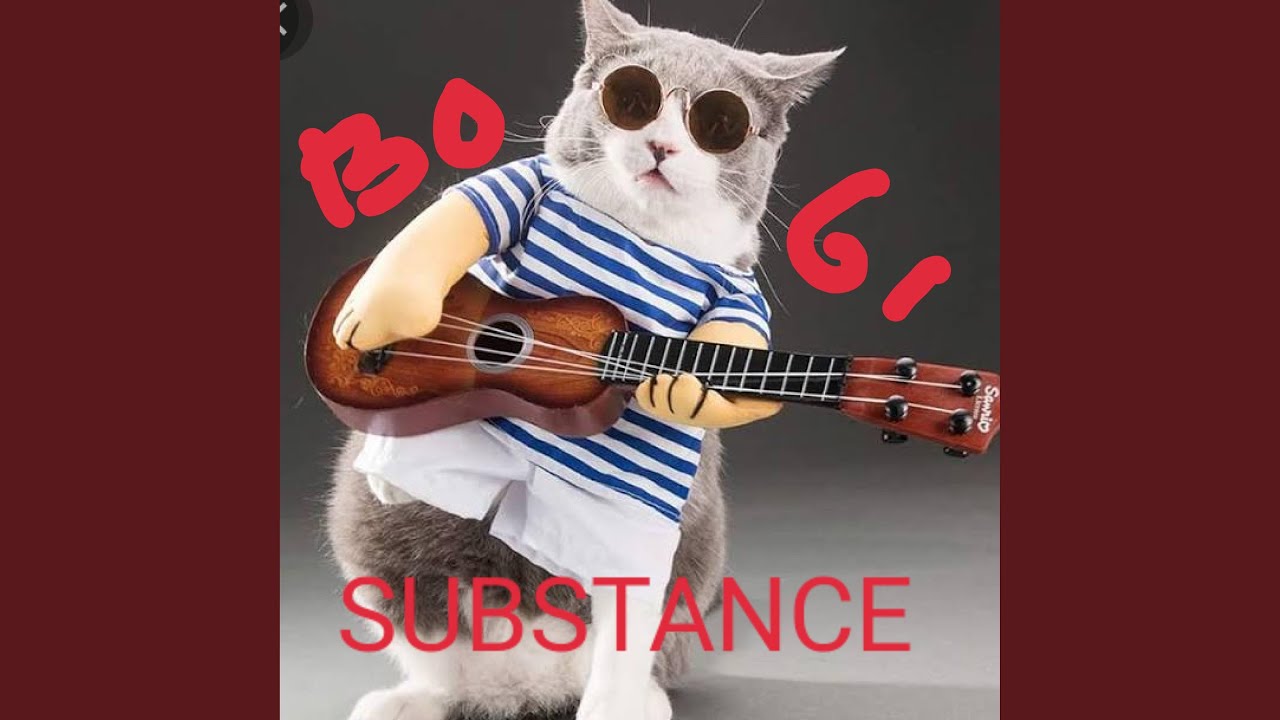 Substance bogi