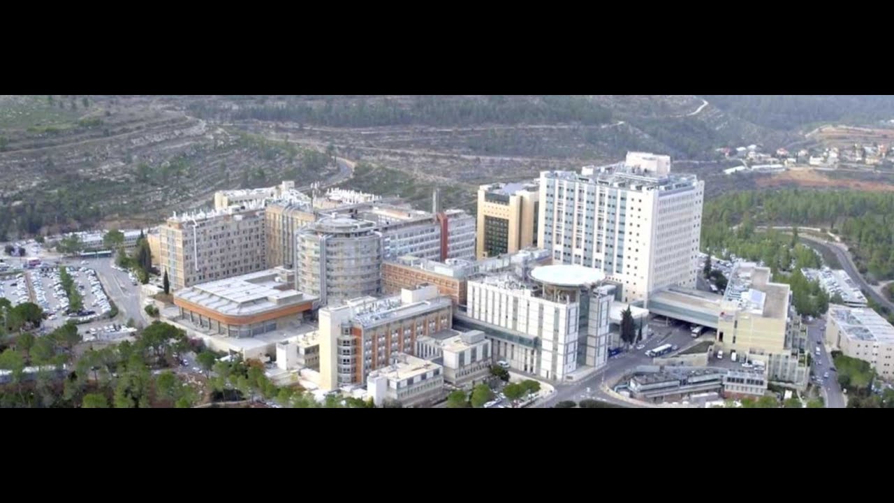 Experience the New Hadassah