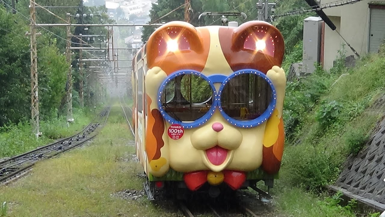 【生駒ケーブル100周年】ミケ･ブル撮影会ツアー　宝山寺駅コ11形「ミケ」(巻きケーブル見学あり)