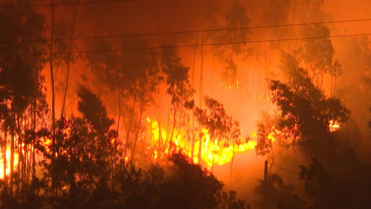 Incêndios em Portugal deixam sete mortos | AFP