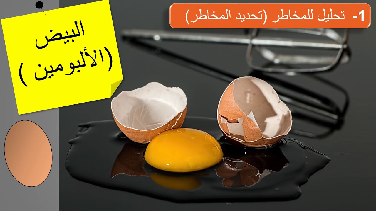 HACCP الجزء 9️⃣ من سلسلة شرح الهاسب جدول تحليل مخاطر البيض