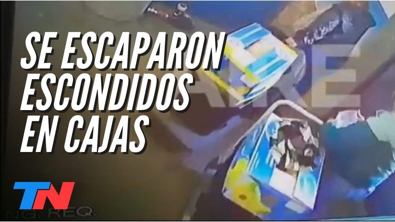 INSÓLITA FUGA EN SANTA FE: dos presos se escaparon del penal escondidos en cajas de bananas