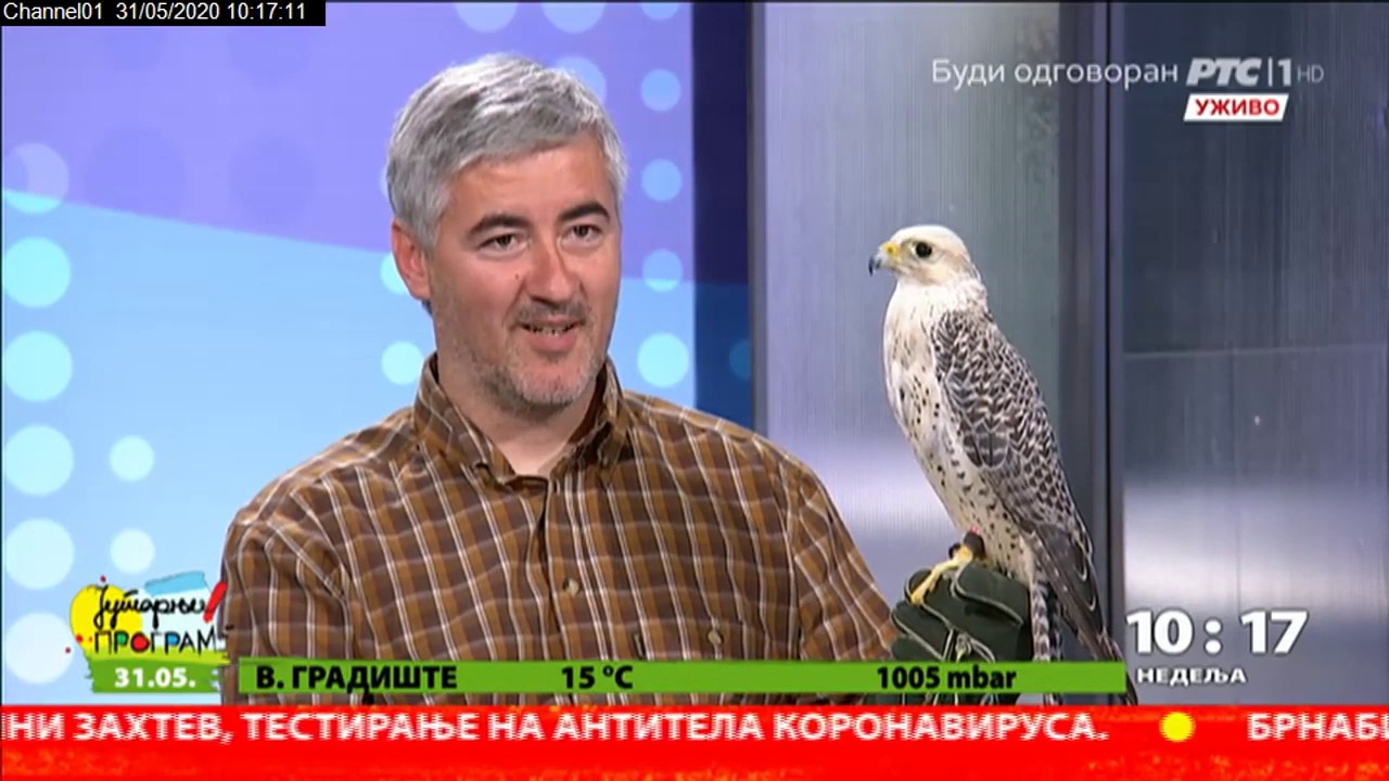 Sokolarstvo