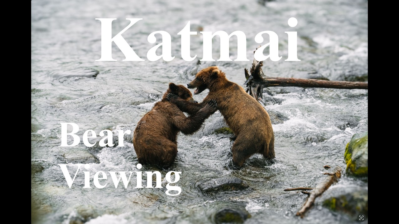 Bear Viewing with Lake Clark Resort