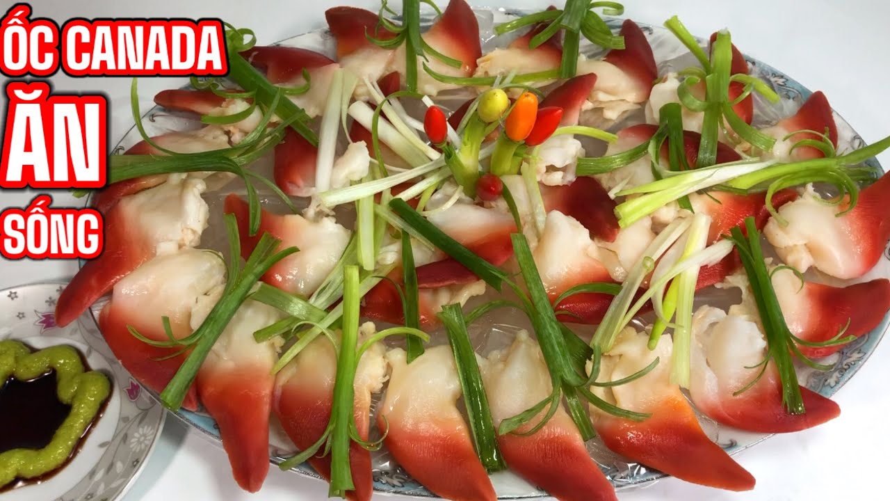 🇺🇸CÁCH LÀM- ỐC CANADA ĂN SỐNG -SẠCH SẼ(SIÊU NGON)arctic surf clams sashimi @cali mon ngon dan da