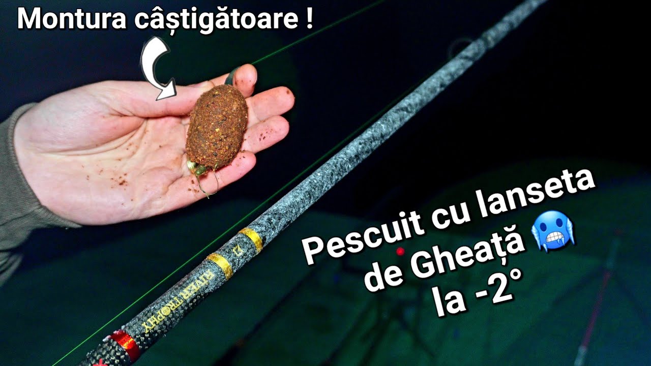 Ultima partidă de Toamnă ! Cea mai productivă montură in această perioadă ! 