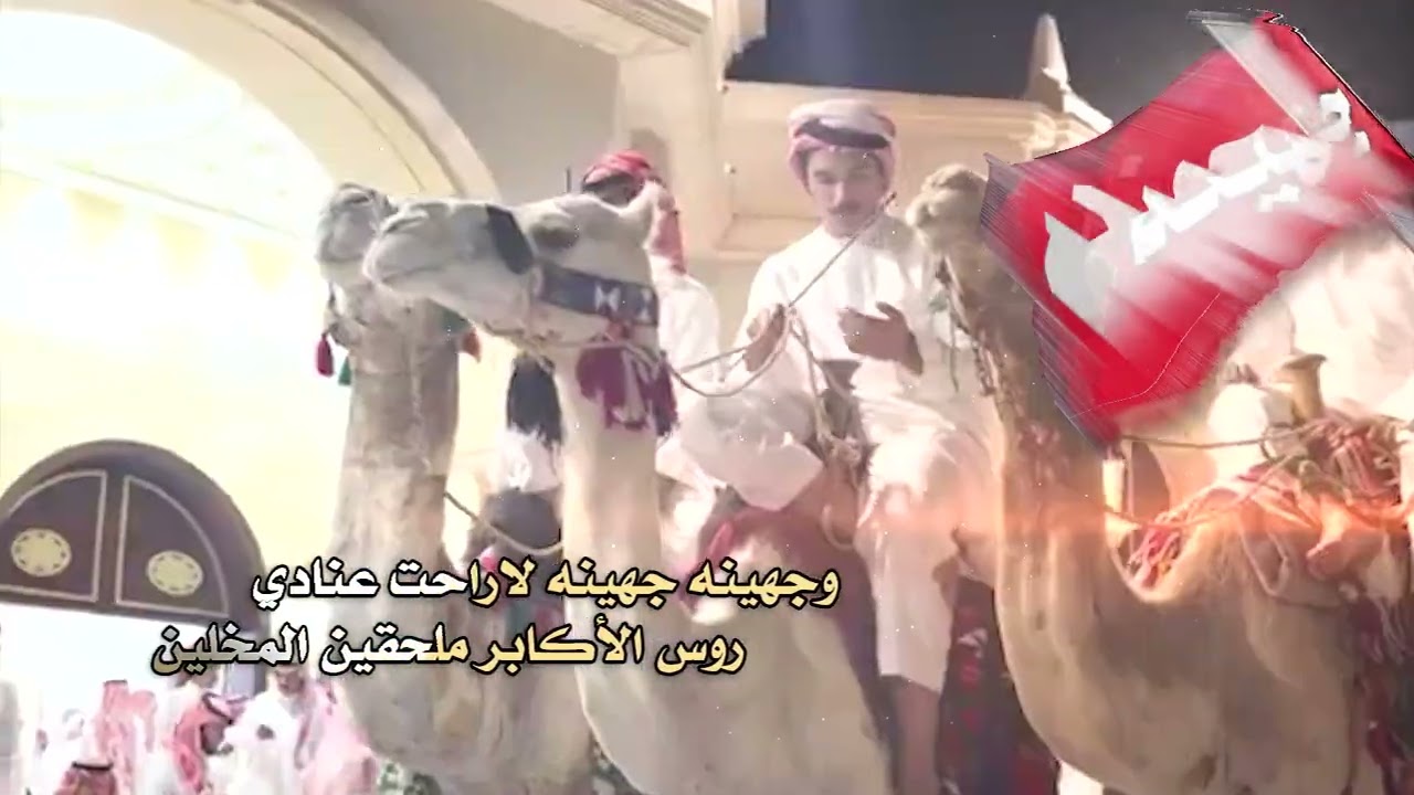 شيلةحماسيه في حفل ينبع منبع النور زادي يمرحبا يلي حضرتو ملاين 2025 شبل الدواسر مونتاج العرين للتصميم