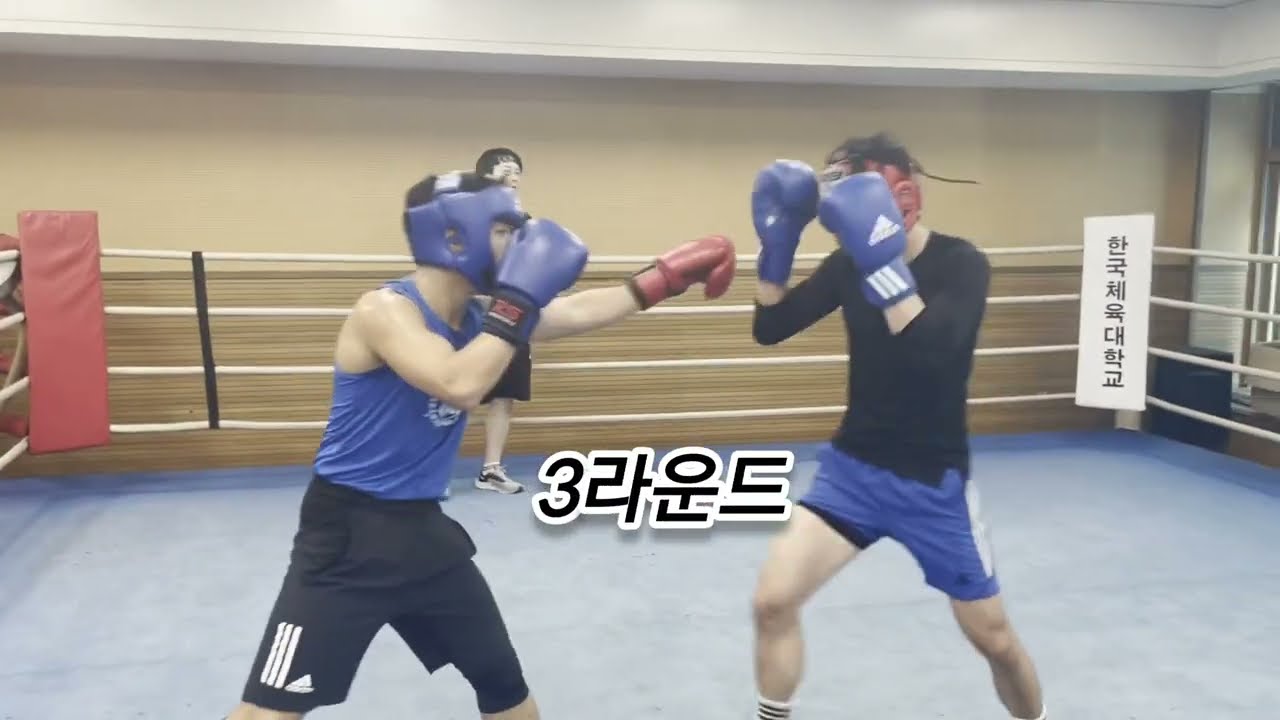 스파링2~3라운드