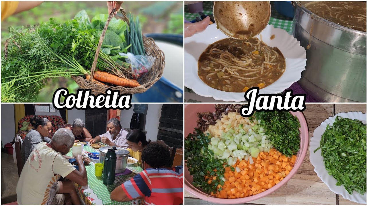 MINI COLHEITA para preparar uma SOPA // FAMÍLIA  REUNIDA // abraços