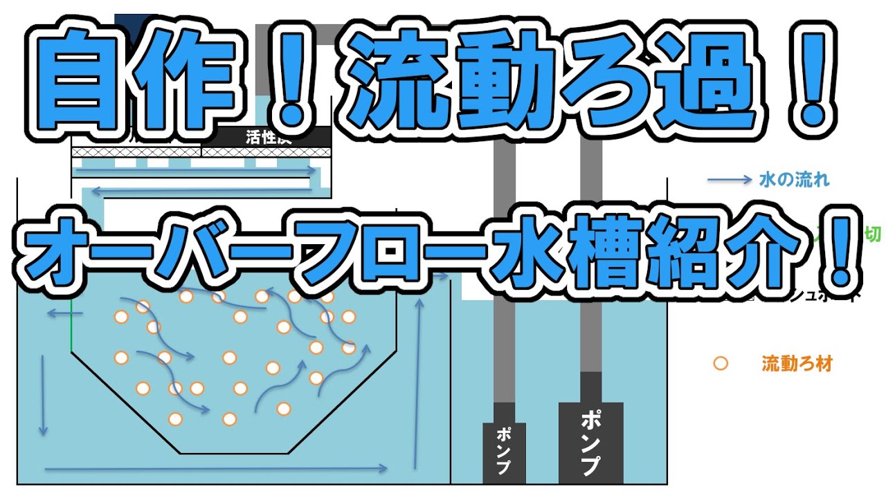 流動ろ過をオーバーフロー水槽で自作してみた！