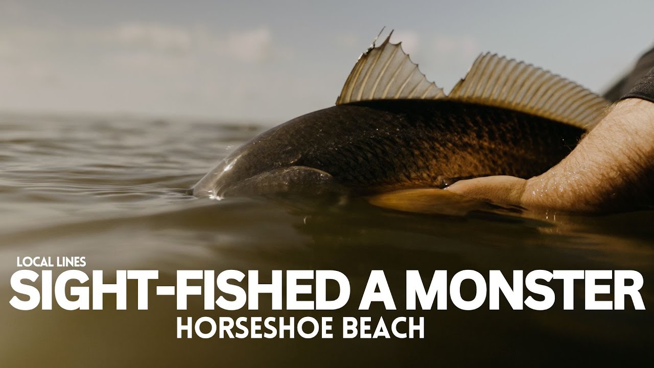 FISHING in THE MARSH FOR BIG REDS