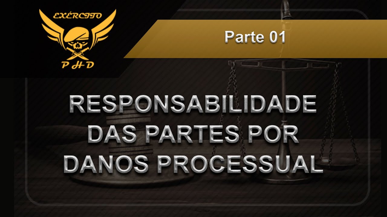 Curso de Direito Processual Civil -  Responsabilidade das Partes - Ridison Lucas - phdconcursos