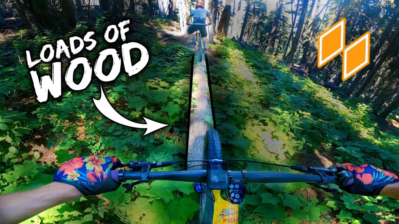 What Does an Old-School Pro Line Look Like?