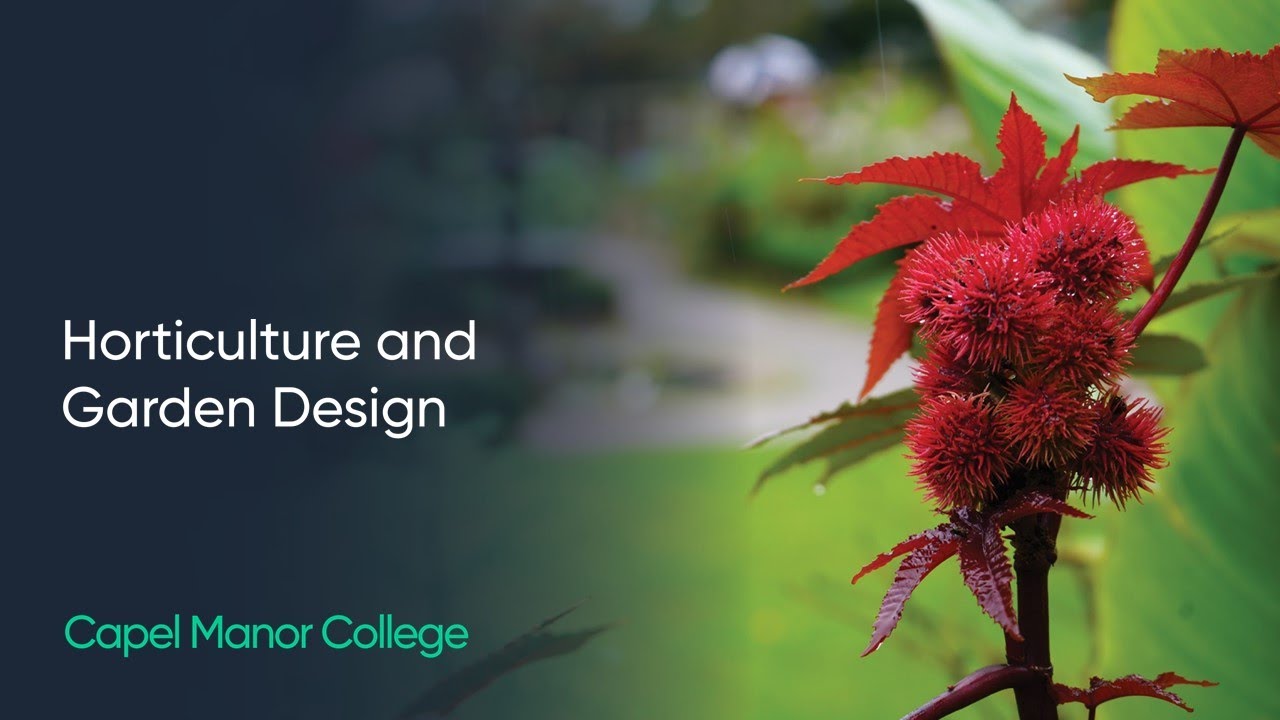 Horticulture and Garden Design at Capel Manor College