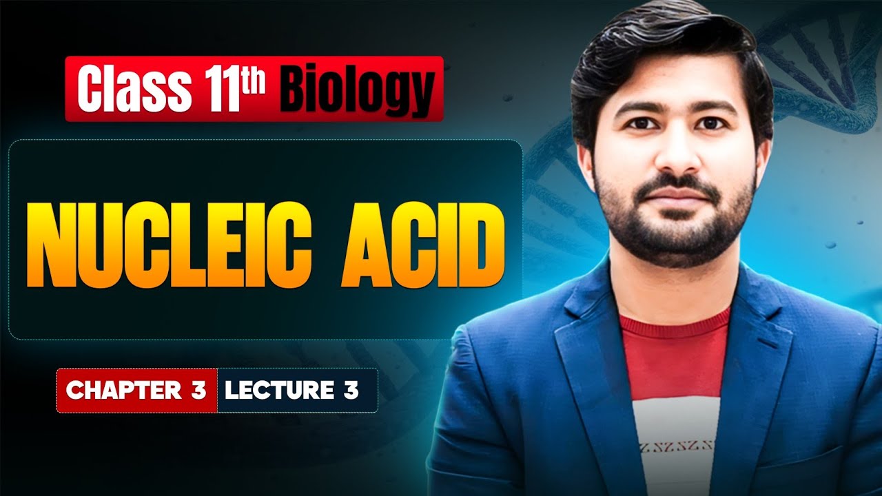 Nucleic acid class 11 biology chapter 3 | Biology new book by irtisams biology 