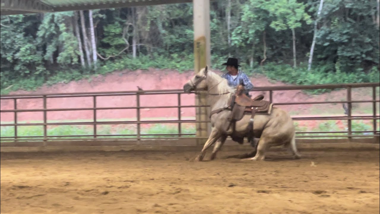 Recebendo Daniel Lopes no Sweet Ranch! Tie down roping. Com o nosso garanhão Gunner Impress!