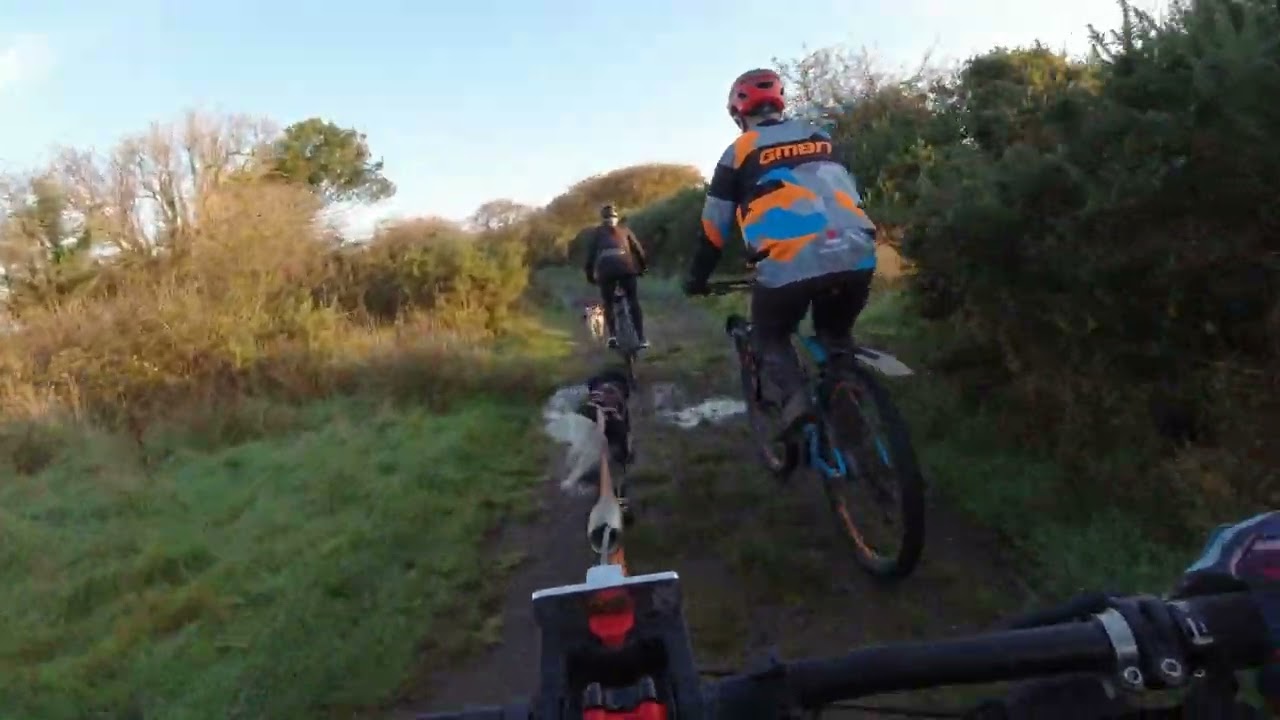 Devon Howlers & Sprocket training Oct 2022