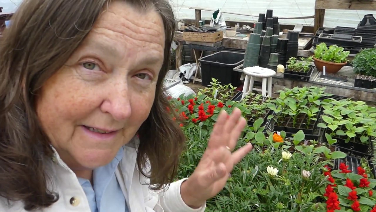 Successful Gardening| Spring Garden Tour| Muddy Homestead