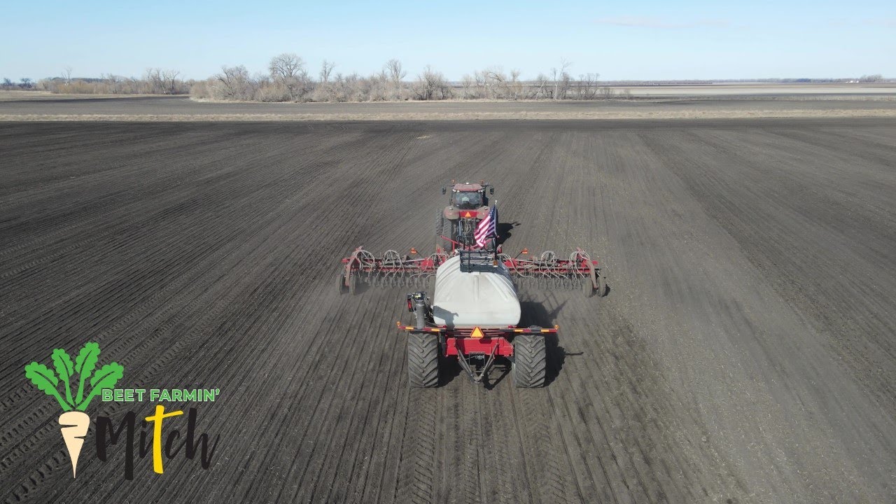 Farming: Wheat and Sugar Beet Planting Progress