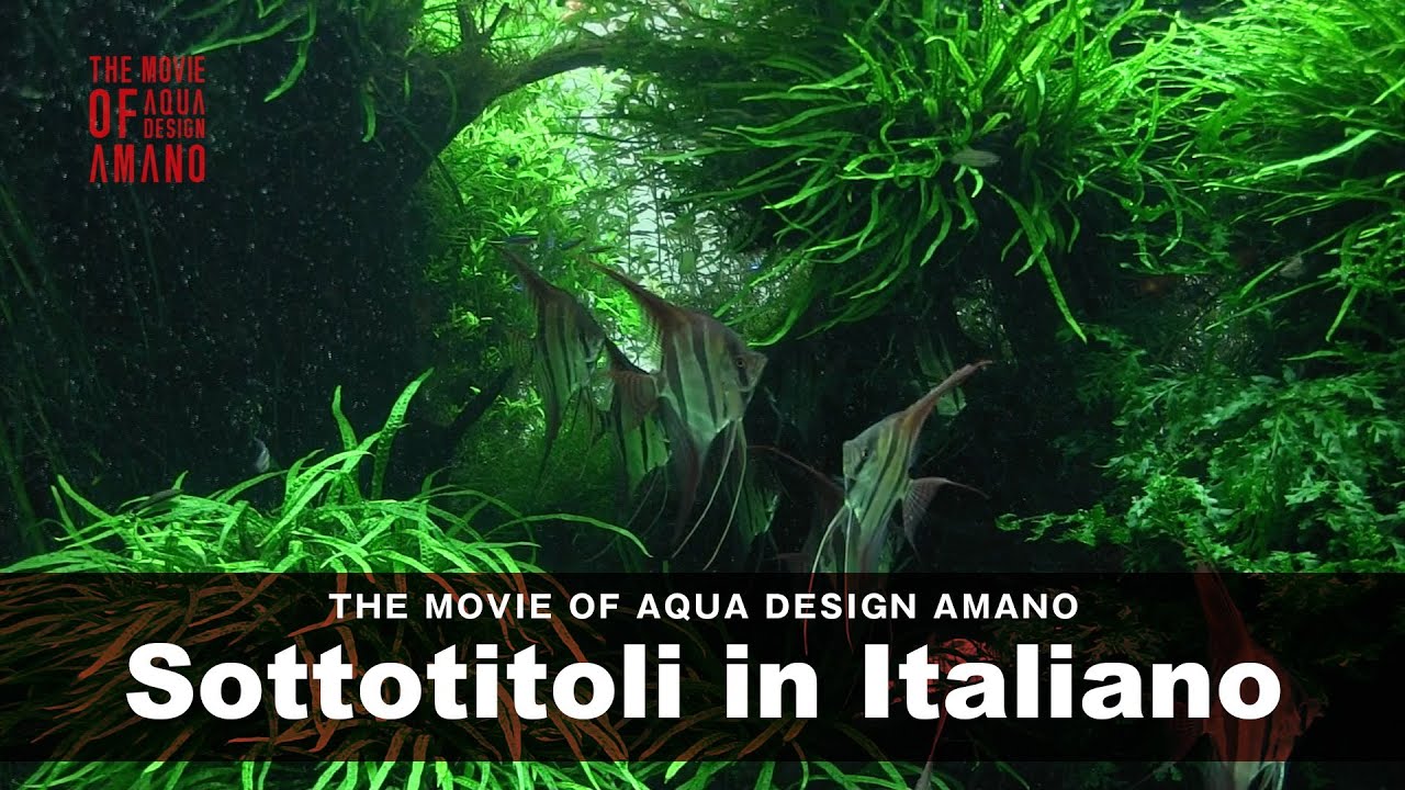 [ADAview] THE MOVIE OF AQUA DESIGN AMANO [side:concept] - Sottotitoli in Italiano