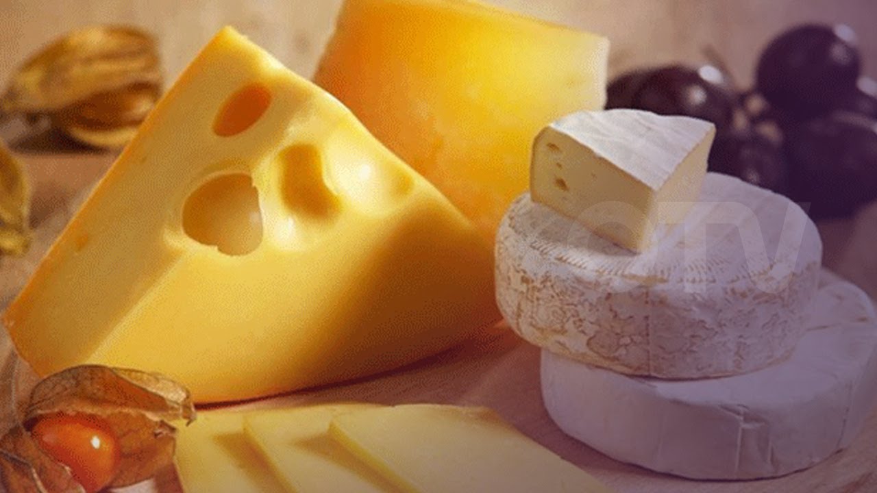 صلاحية الاجبان مع زياد ابي سعد