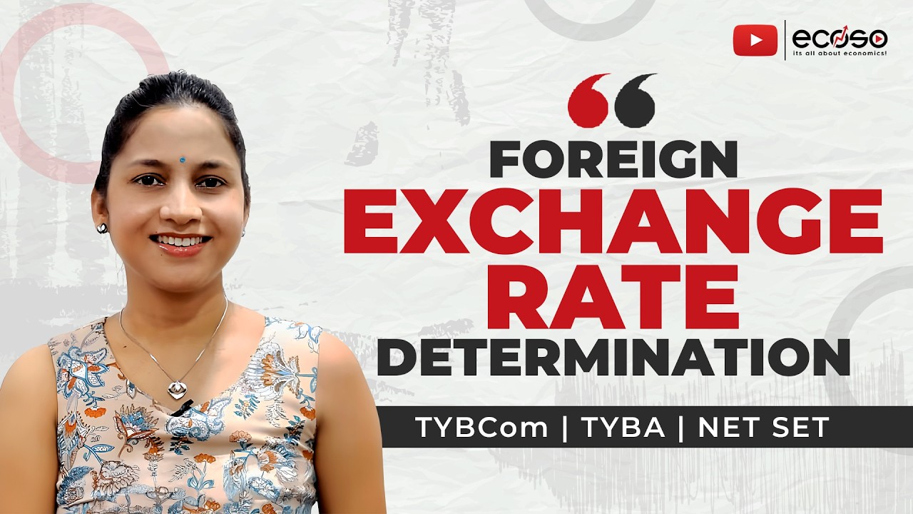 Foreign Exchange Rate Determination | ecoso | tybcom | UGC NET | Exchange Rate Explained in Hindi