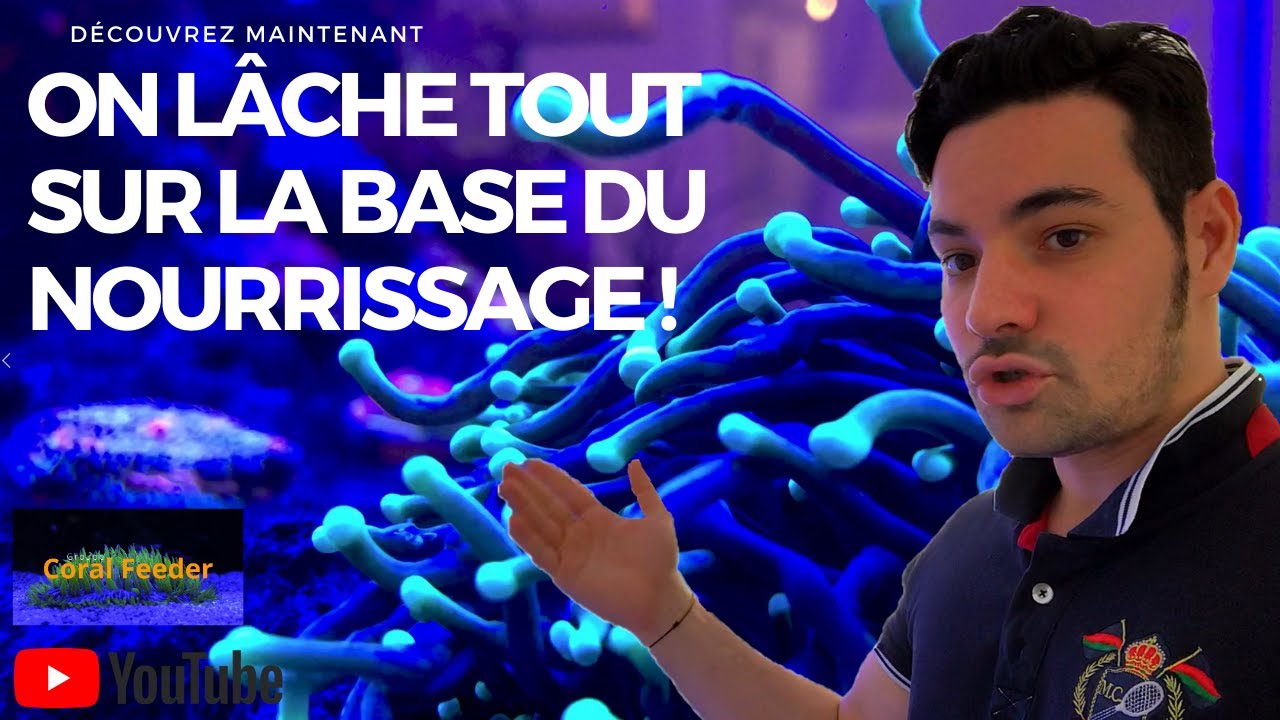 On lâche tout sur la base du nourrissage !