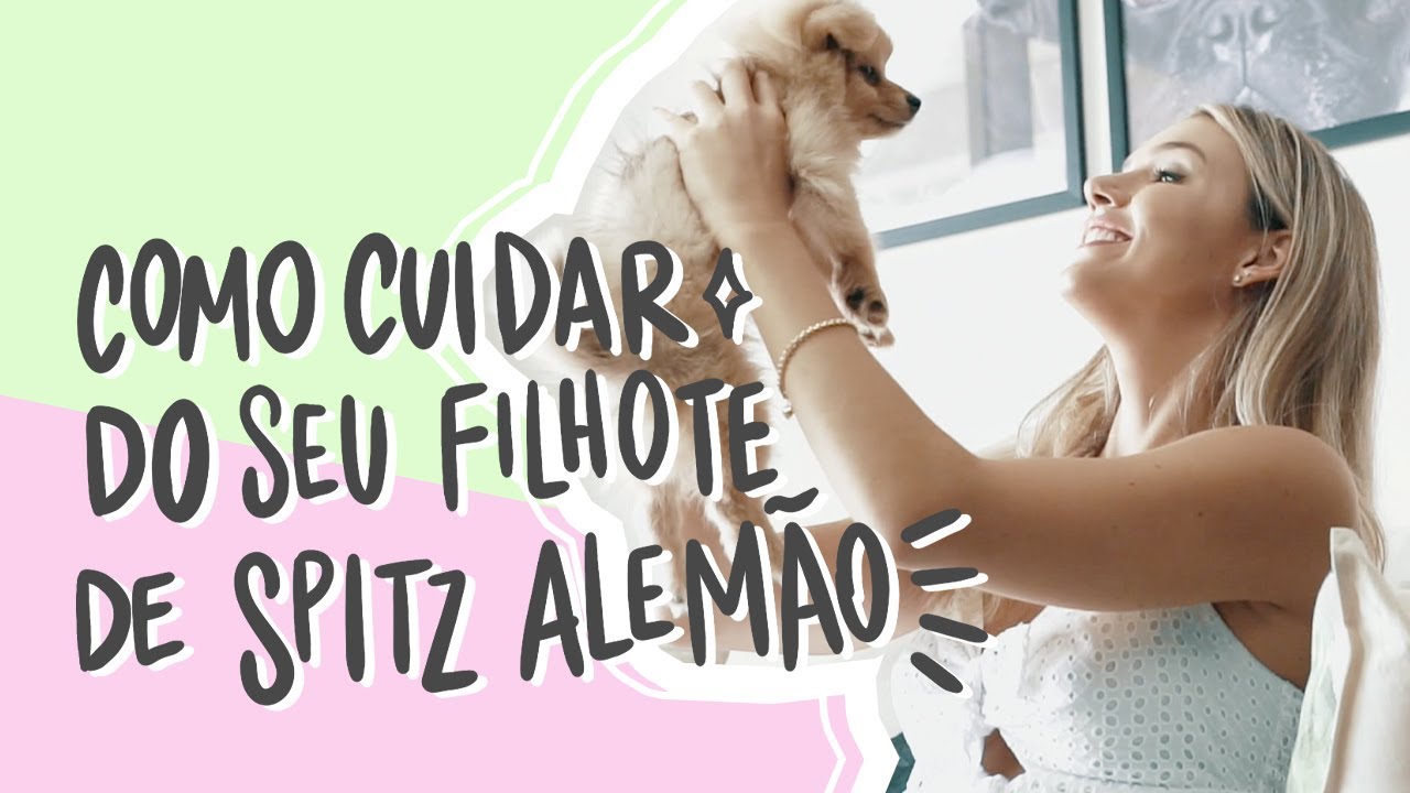 Primeiros dias com o meu Spitz Alemão | Pet TV